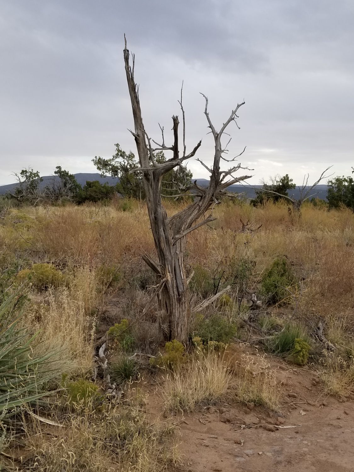 Bandalier National Monument 